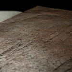 _0000s_0000s_0002s_0004_terracota-4