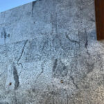 _0000s_0000s_0003s_0001_silver colocado-2