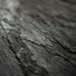 _0000s_0000s_0007s_0005_Oxid vertical-1