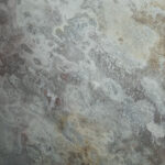 _0000s_0000s_0010s_0006_nevada-6