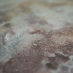 _0000s_0000s_0010s_0008_nevada-8