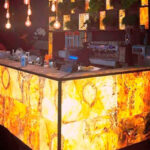 _0000s_0000s_0012s_0001_golden trasludico-1