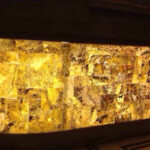 _0000s_0000s_0012s_0002_golden trasludico-2