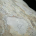 _0000s_0000s_0013s_0004_golden-4