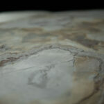 _0000s_0000s_0013s_0005_golden-5