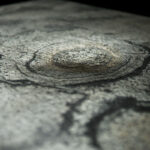 _0000s_0000s_0019s_0009_alcrim-9