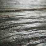 _0000s_0000s_0020s_0002_alaska-2