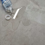 _0000s_0001s_0003s_0002_Agata-3