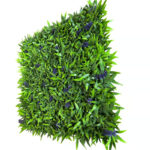 _0000s_0001s_0005_lavanda-6