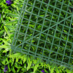 _0000s_0001s_0007_lavanda-8