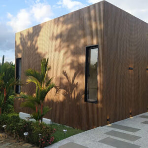Wall Panel Exterior Co-Extruded Ipe