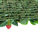 _0000s_0002s_0001_Fotinia-8