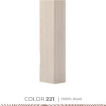 _0000s_0002s_0003_Color 221