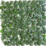 _0000s_0003s_0000_hiedra-1