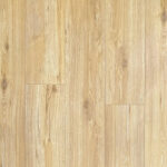 _0000s_0003s_0002s_0000_Roble Atrani-1