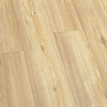 _0000s_0003s_0002s_0001_Roble Atrani-2