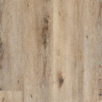 _0000s_0004s_0000s_0000_Roble Milenium-4