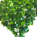 _0000s_0004s_0001_Melissa-6