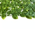 _0000s_0004s_0002_Melissa-5