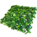 _0000s_0004s_0004_Melissa-3