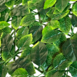 _0000s_0004s_0007_Melissa-1