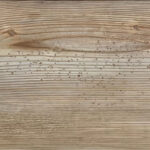 _0000s_0005s_0000s_0001_Pino Visby-2