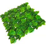 _0000s_0005s_0001_Mediterranea-2