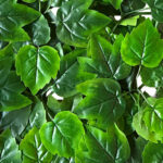 _0000s_0005s_0003_Mediterranea-4