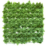 _0000s_0006s_0000_Aralia-1