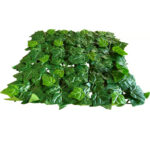 _0000s_0006s_0001_Aralia-2