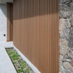 _0000s_0006s_0006s_0002_Teak-2