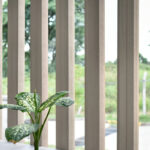 _0000s_0006s_0010s_0004_Antique