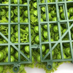 _0000s_0007s_0001_musgo-2