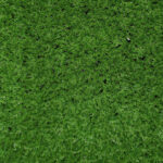 _0000s_0007s_0002_musgo-3