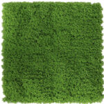 _0000s_0007s_0004_musgo-5