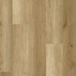 _0000s_0008s_0001s_0000_Roble Minsk-1