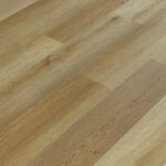 _0000s_0008s_0001s_0001_Roble Minsk-2