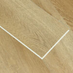 _0000s_0008s_0001s_0002_Roble Minsk-3