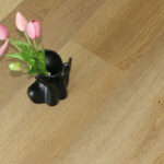 _0000s_0008s_0001s_0007_Roble Minsk-8