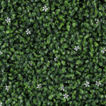 _0000s_0009s_0000_jazmin-1