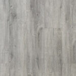 _0000s_0009s_0000s_0000_Silver-1