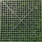 _0000s_0009s_0002_jazmin-2