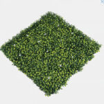 _0000s_0009s_0003_jazmin-3