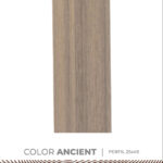 _0000s_0009s_0005_Color Ancient