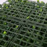 _0000s_0010s_0001_gardenia-2