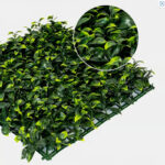 _0000s_0010s_0004_gardenia-5