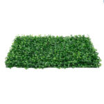 _0000s_0011s_0000_Buxus-10