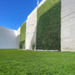 _0000s_0011s_0002_Buxus-8