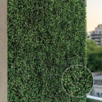 _0000s_0011s_0006_Buxus-4