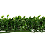 _0000s_0011s_0007_Buxus-3